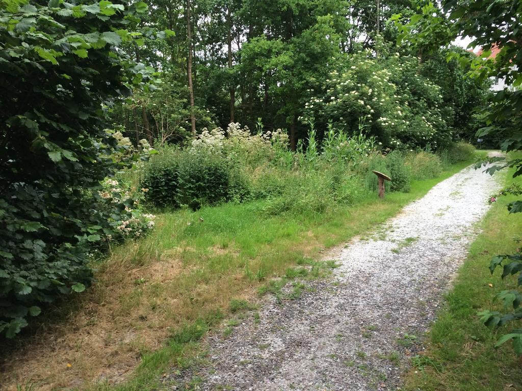 B&B 't Buitenkansje Almere Buitenkant foto